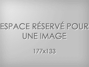 NetObjects Fusion 1&1 Edition NetObjects Fusion 1&1 Edition